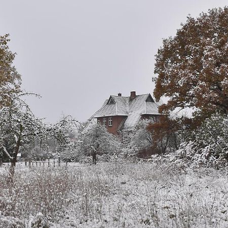 Ferienwohnung Ehemalige Revierfoersterei "Uns Luett" Kuhstorf Exteriér fotografie