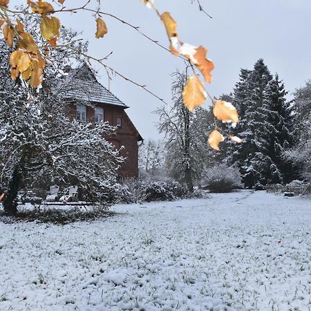 Ferienwohnung Ehemalige Revierfoersterei "Uns Luett" Kuhstorf Exteriér fotografie