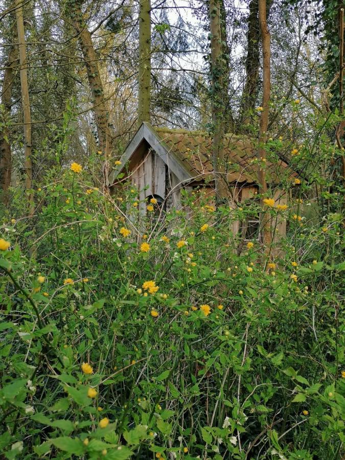 Ferienwohnung Ehemalige Revierfoersterei "Uns Luett" Kuhstorf Exteriér fotografie