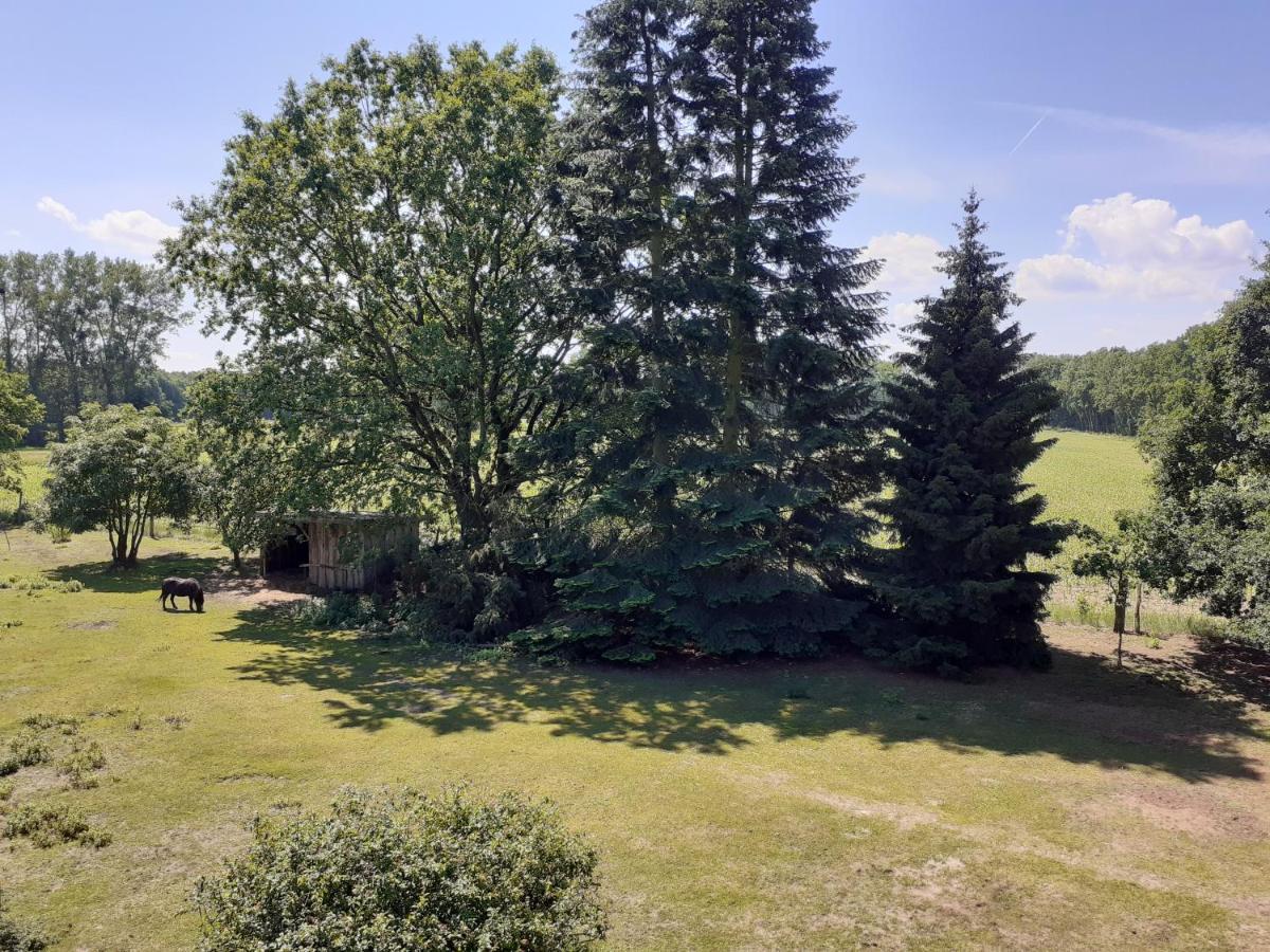 Ferienwohnung Ehemalige Revierfoersterei "Uns Luett" Kuhstorf Exteriér fotografie