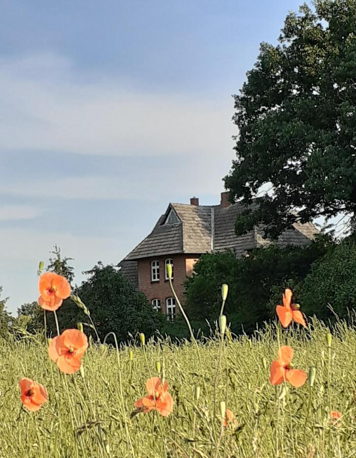 Ferienwohnung Ehemalige Revierfoersterei "Uns Luett" Kuhstorf Exteriér fotografie